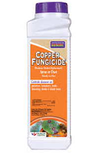 bonide fungicide