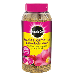 Miracle-Gro Azalea, Camellia & Rhododendron Plant Food